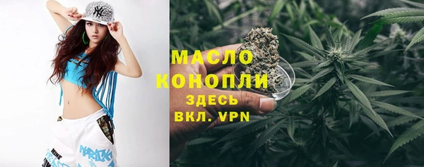 тгк Абаза