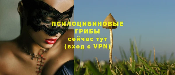 ГАЛЛЮЦИНОГЕННЫЕ ГРИБЫ Абинск