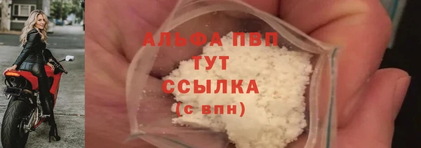 тгк Абаза