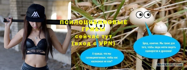 ГАЛЛЮЦИНОГЕННЫЕ ГРИБЫ Абинск