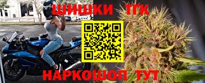 дмт Славгород