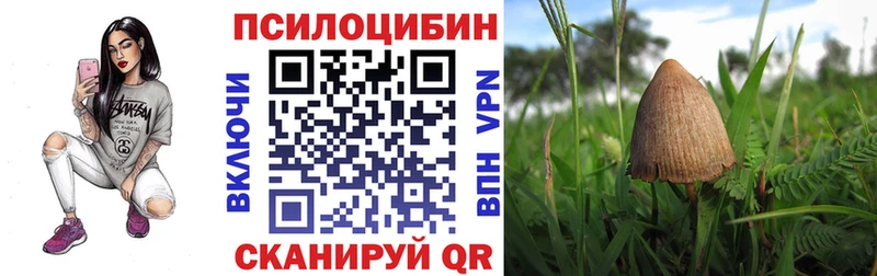 как найти   Усть-Кут  Галлюциногенные грибы MAGIC MUSHROOMS 