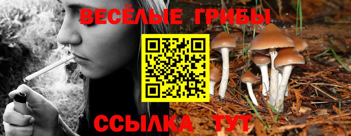 Галлюциногенные грибы мухоморы Усть-Кут