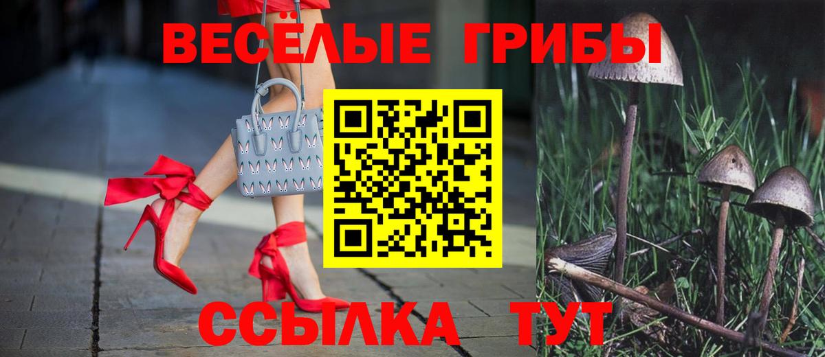 Усть-Кут  Псилоцибиновые грибы прущие грибы  Вход с VPN  Псилоцибиновые грибы GOLDEN TEACHER 